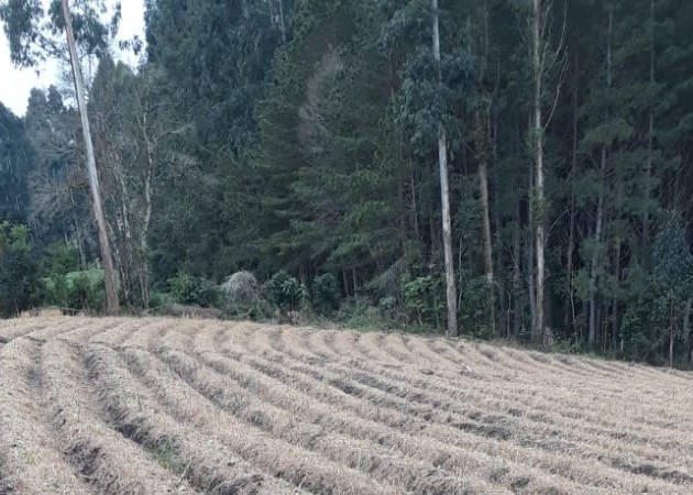 Imagem de um campo