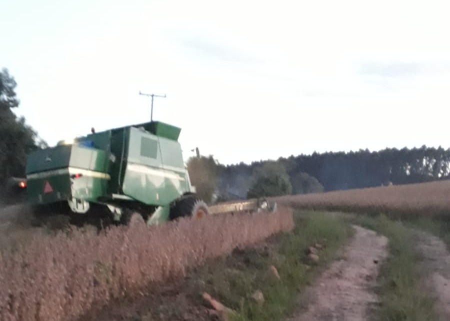 imagem de uma colheitadeira verde realizando a colheita de soja